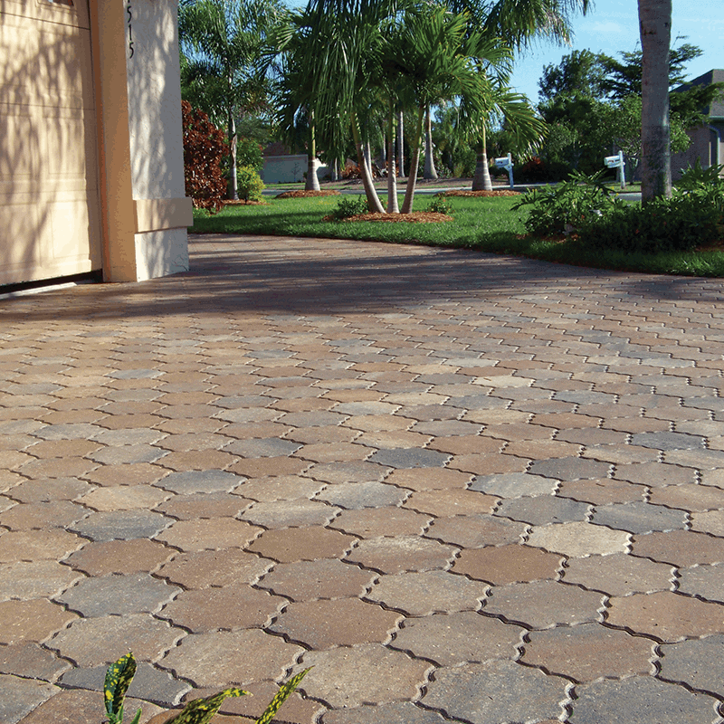 Rosa - Special TriCircle