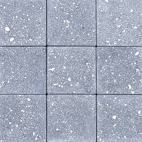 ADA Pavers - Special TriCircle